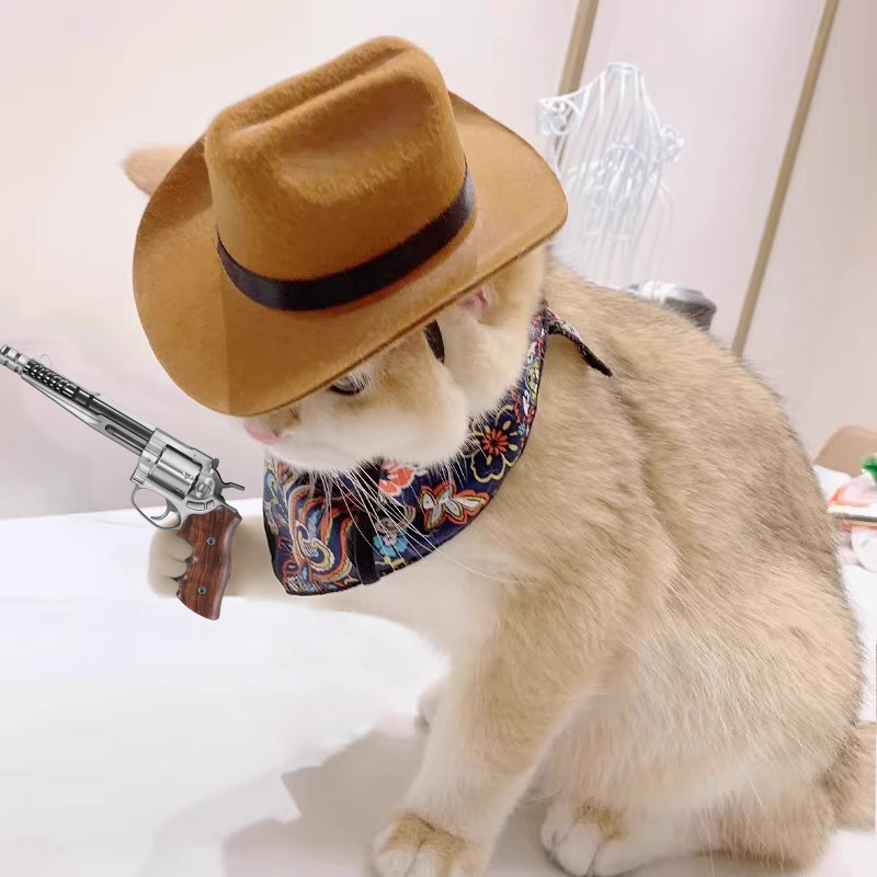  Cat Cowboy Hat Pet Head Acce - Cowboy Hat Straw review and price
